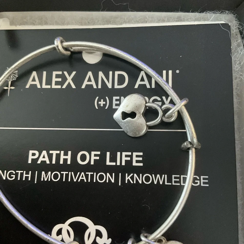 Alex and Ani nwt alex